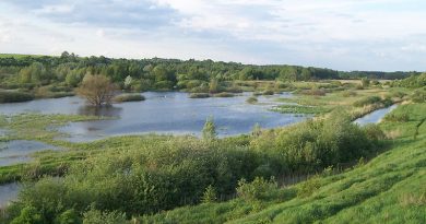 dolina cybiny sprzątanie