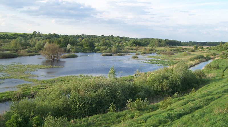 dolina cybiny sprzątanie