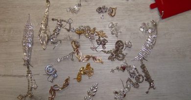 policja Swarzędz szuka właścicieli