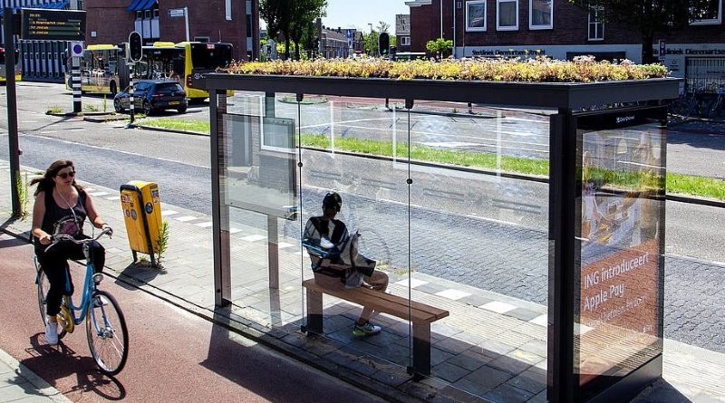 Poznań zielone przystanki Swarzędz