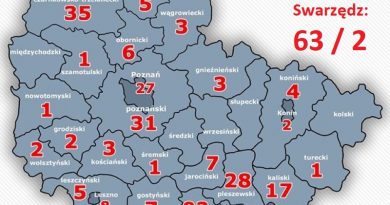 mniej osób kwarantannie koronawirus