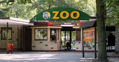 ZOO w Poznaniu otwarte