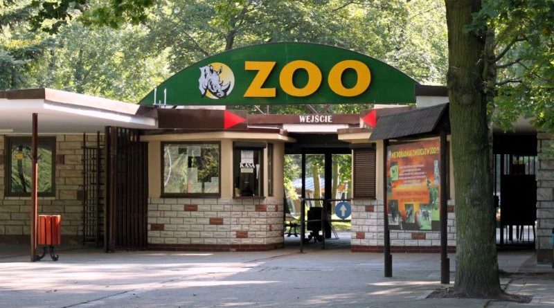 ZOO w Poznaniu otwarte