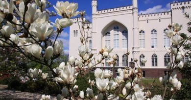 arboretum w kórniku czynne