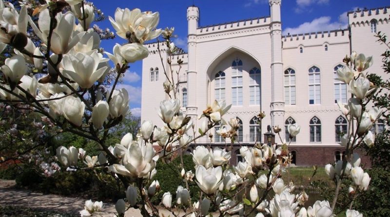 arboretum w kórniku czynne