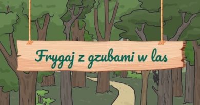 darmowy przewodnik po lasach