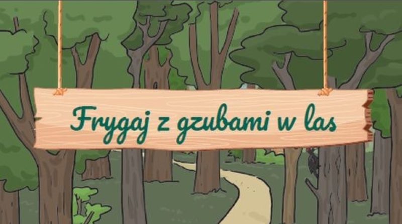 darmowy przewodnik po lasach