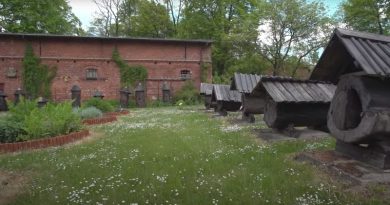 film o Muzeum Pszczelarstwa w Swarzędzu