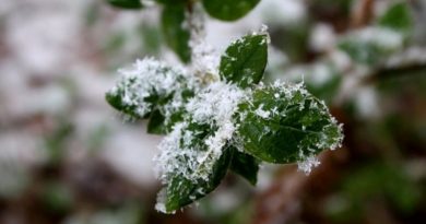 Czy przysłowia pogodowe się sprawdzają