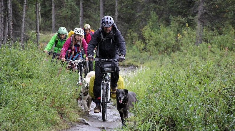 rajd na Szlaku Kościołów Drewnianych