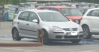 pies czekał tak się nie robi