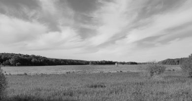 kobieta której ciało znaleziono w Jeziorze