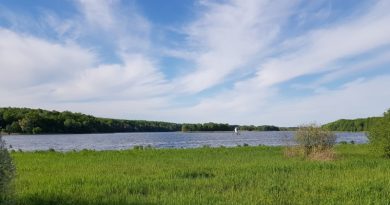 zwłoki kobiety w Jeziorze Swarzędzkim