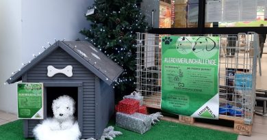 Leroy Merlin zbiórka dla zwierząt