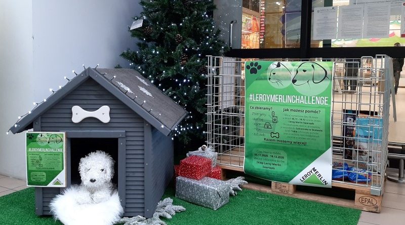 Leroy Merlin zbiórka dla zwierząt