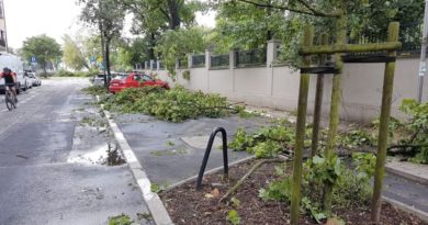 Plan adaptacji do zmian klimatu