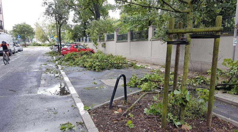 Plan adaptacji do zmian klimatu