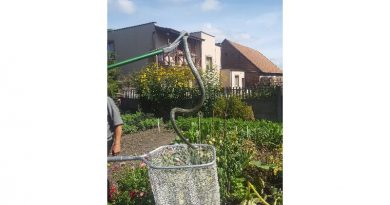 Węże atakują w gminie Swarzędz