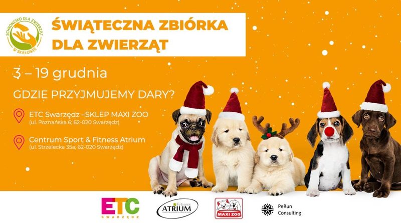 Mikołajki i świąteczna zbiórka karmy