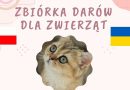 Szkoła Podstawowa w Paczkowie organizuje