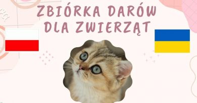 Szkoła Podstawowa w Paczkowie organizuje