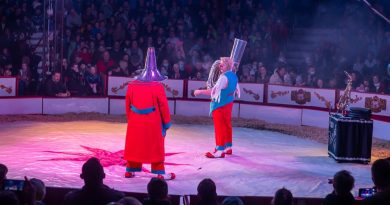 Cyrk Zalewski w Swarzędzu