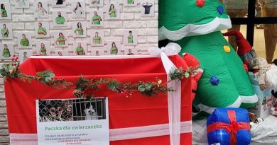 Paczka dla zwierzaczka w Leroy Merlin