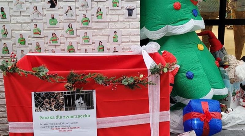 Paczka dla zwierzaczka w Leroy Merlin