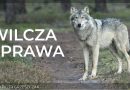 W wilczej sprawie