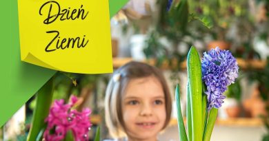 Zbiórka elektrośmieci w Leroy Merlin