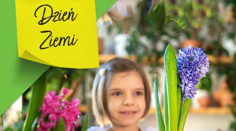 Zbiórka elektrośmieci w Leroy Merlin