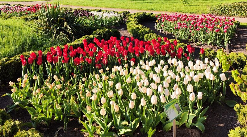 Warsztaty weekendowe Ogrodnicy w Szreniawie