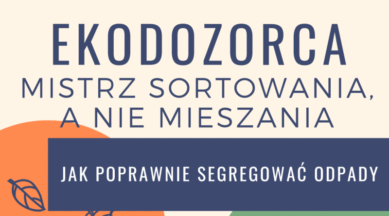 Jak prawidłowo segregować odpady