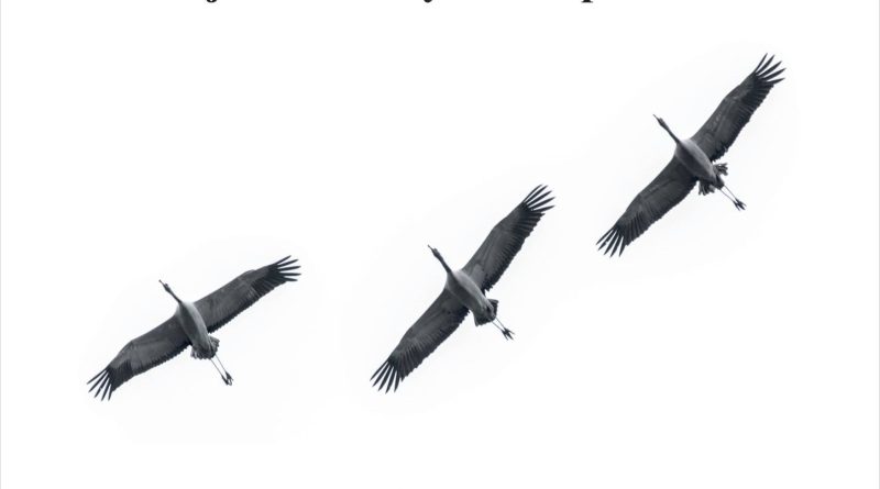 Muzeum w Uzarzewie zaprasza na wystawę