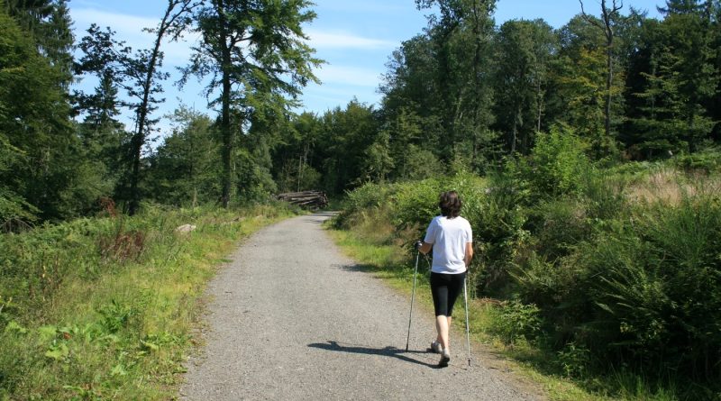 XV Ogólnopolski Nadwarciański Rajd