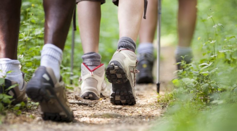 Buty trekkingowe