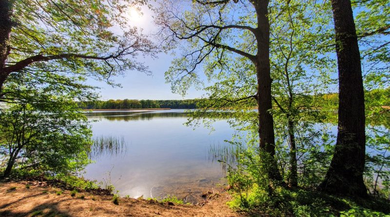 Jesienna Akcja Sprzątania