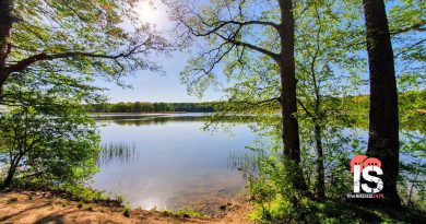 Wiosenne sprzątanie terenów