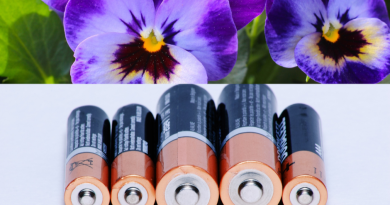 Kwiaty za elektrograty