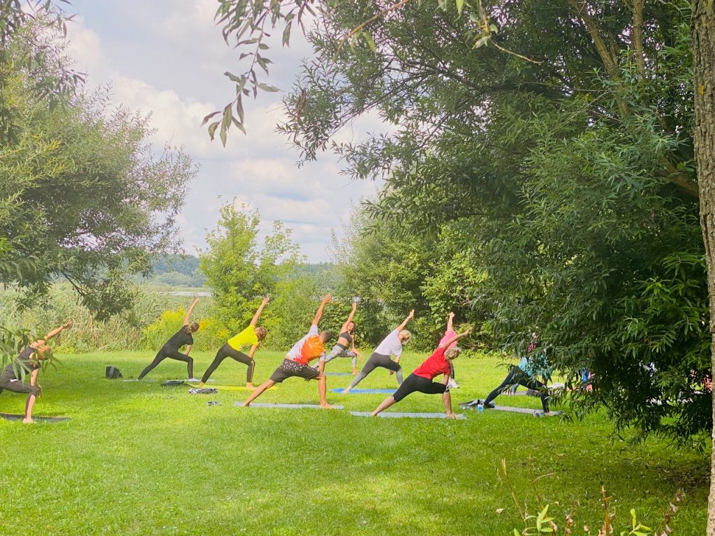 Kolejny sezon Jogi na Trawie