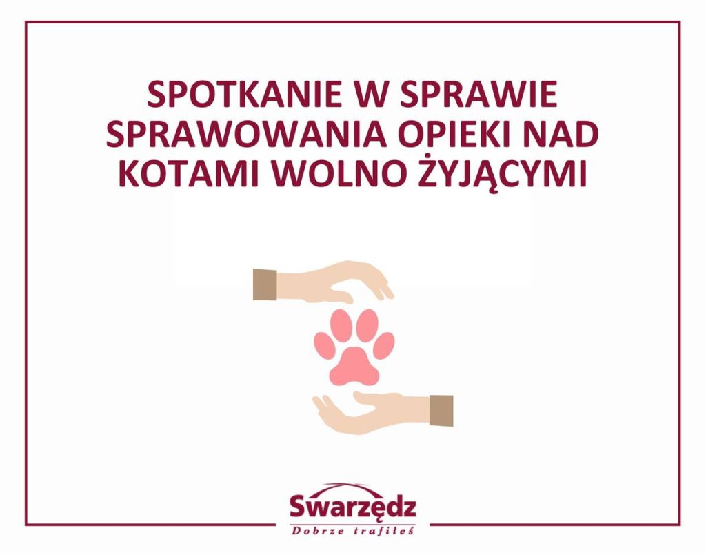 Spotkanie w sprawie opieki nad kotami wolno żyjącymi