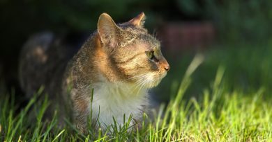 2 lipca 2024 r. o godz. 16:00 w sali konferencyjnej Urzędu Miasta i Gminy w Swarzędzu (ul. św. Marcina 1)