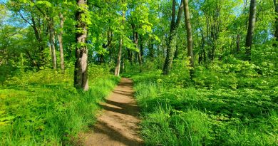 Puszczańskie Spacery z Przewodnikiem