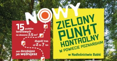 Zielony punkt Kontrolny w Kobylnicy