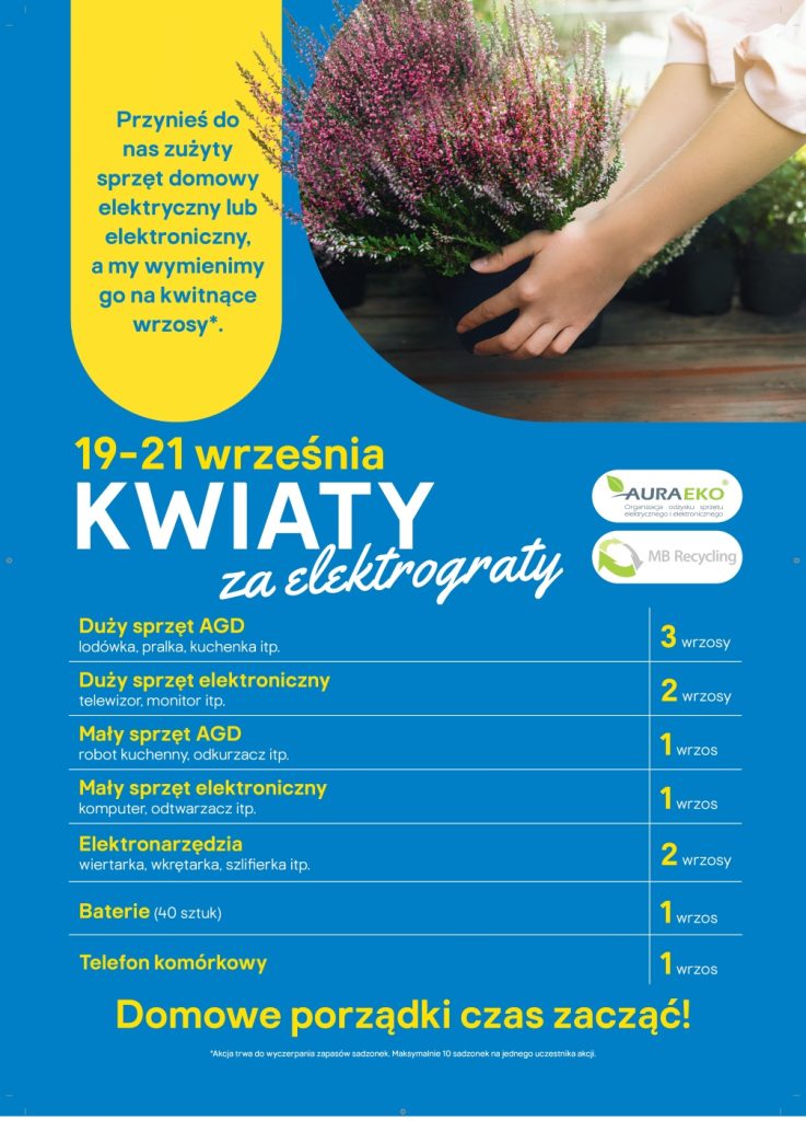 Kwiaty za elektrograty 2024