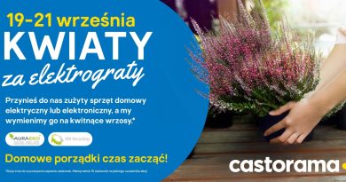 Kwiaty za elektrograty 2024