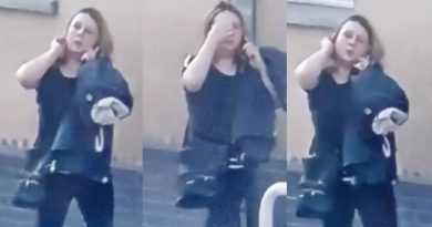 Przywłaszczenie portfela