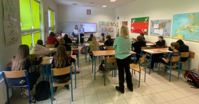 Projekt Bracelet Bridge w Paczkowie