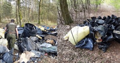 Śmieci w lasach - problem również w naszej okolicy