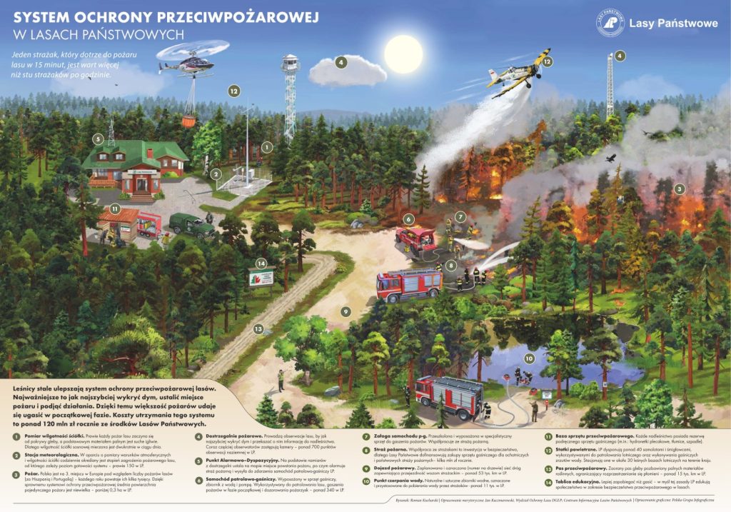 Susza w lasach - leśnicy i strażacy apelują: bądźmy ostrożni!